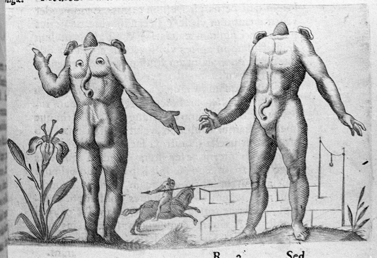 Different types of human monsters: a man without a head. Engraving from 