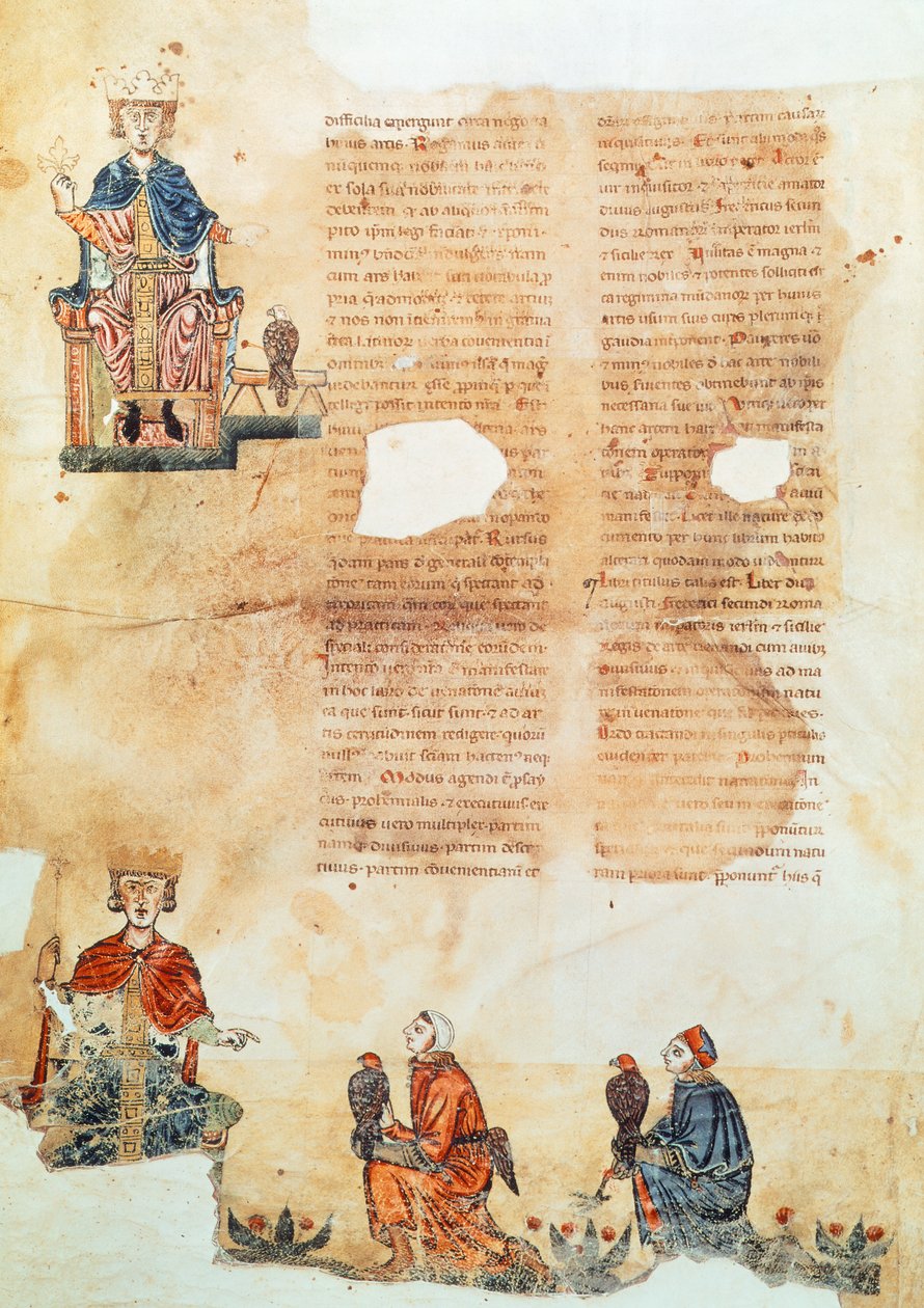 Emperor Frederick II of Hohenstaufen, illustration from 