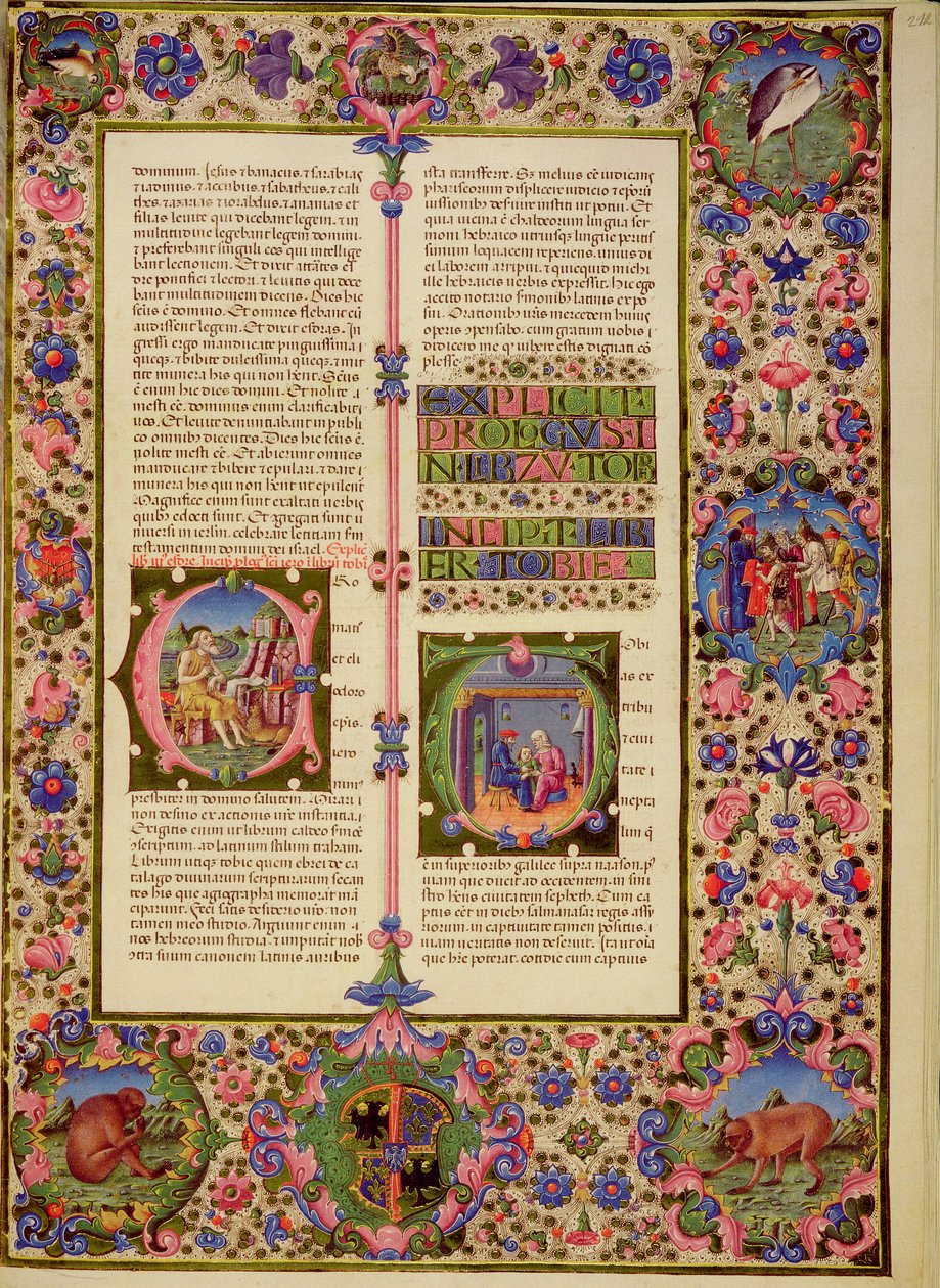 Book of Toby, from the Borso d