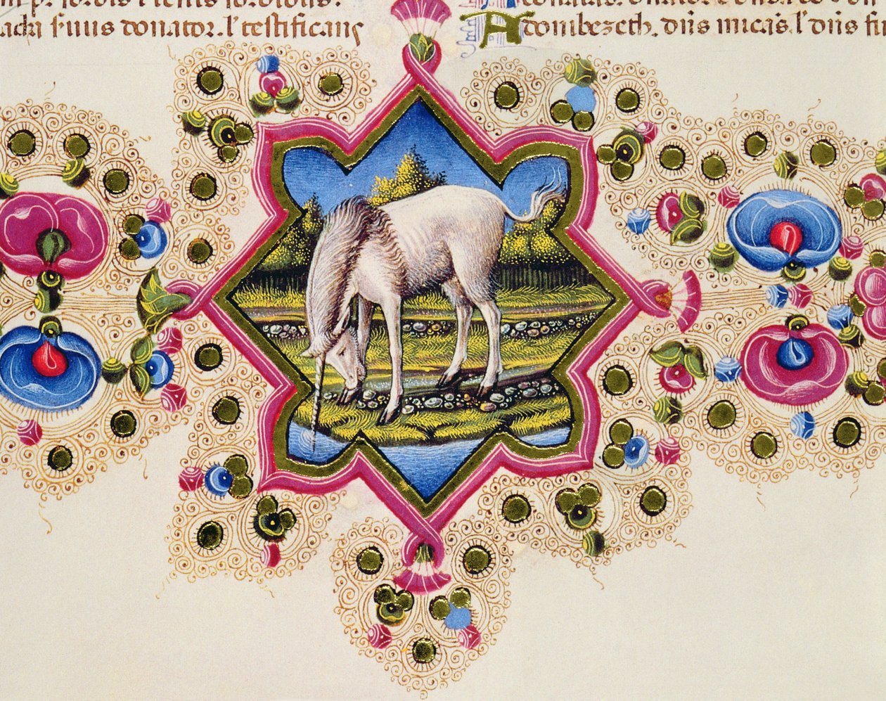 A Unicorn, from the Borso d