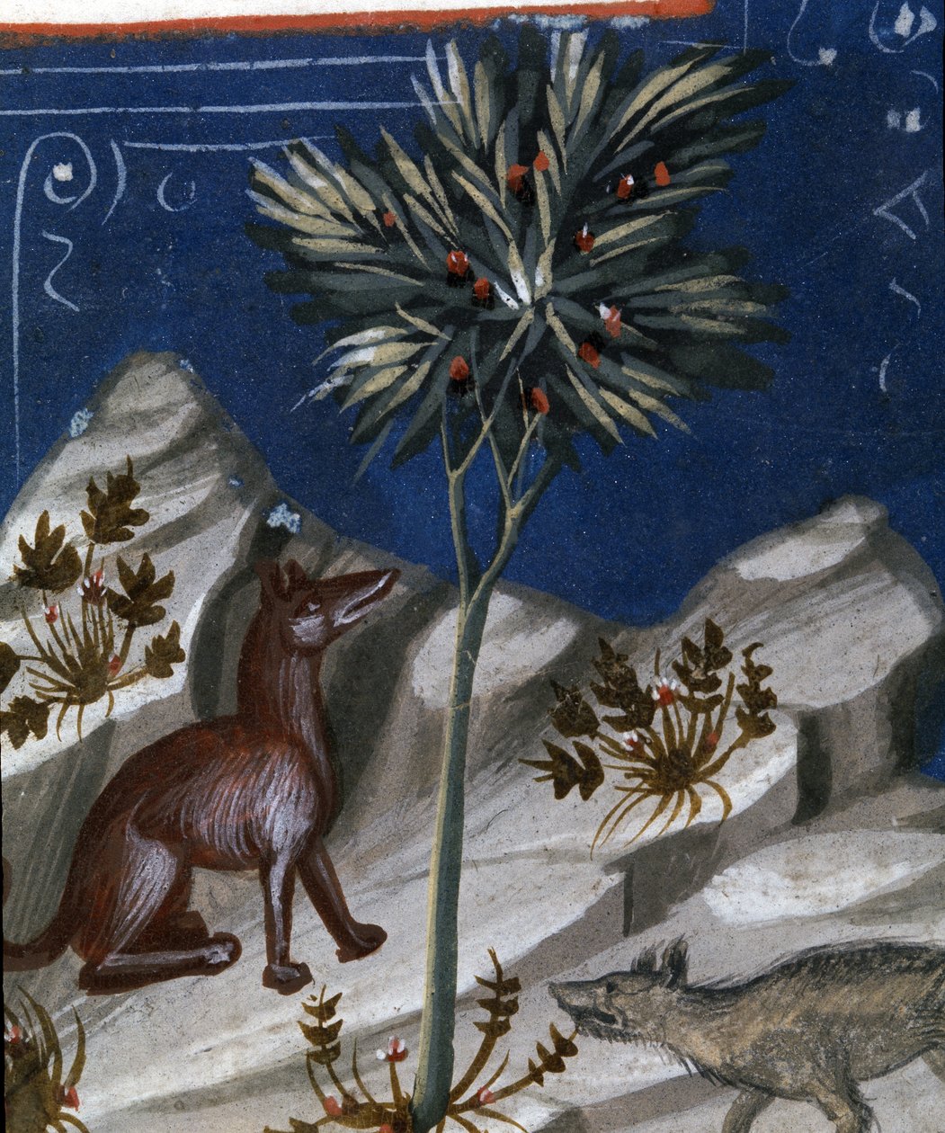Fox and a wolf, illustration from Codex Justianus, 1350 by Italian School