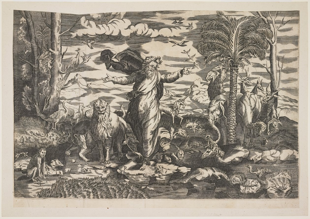 God Creating the Animals, c.1550 by Italian School