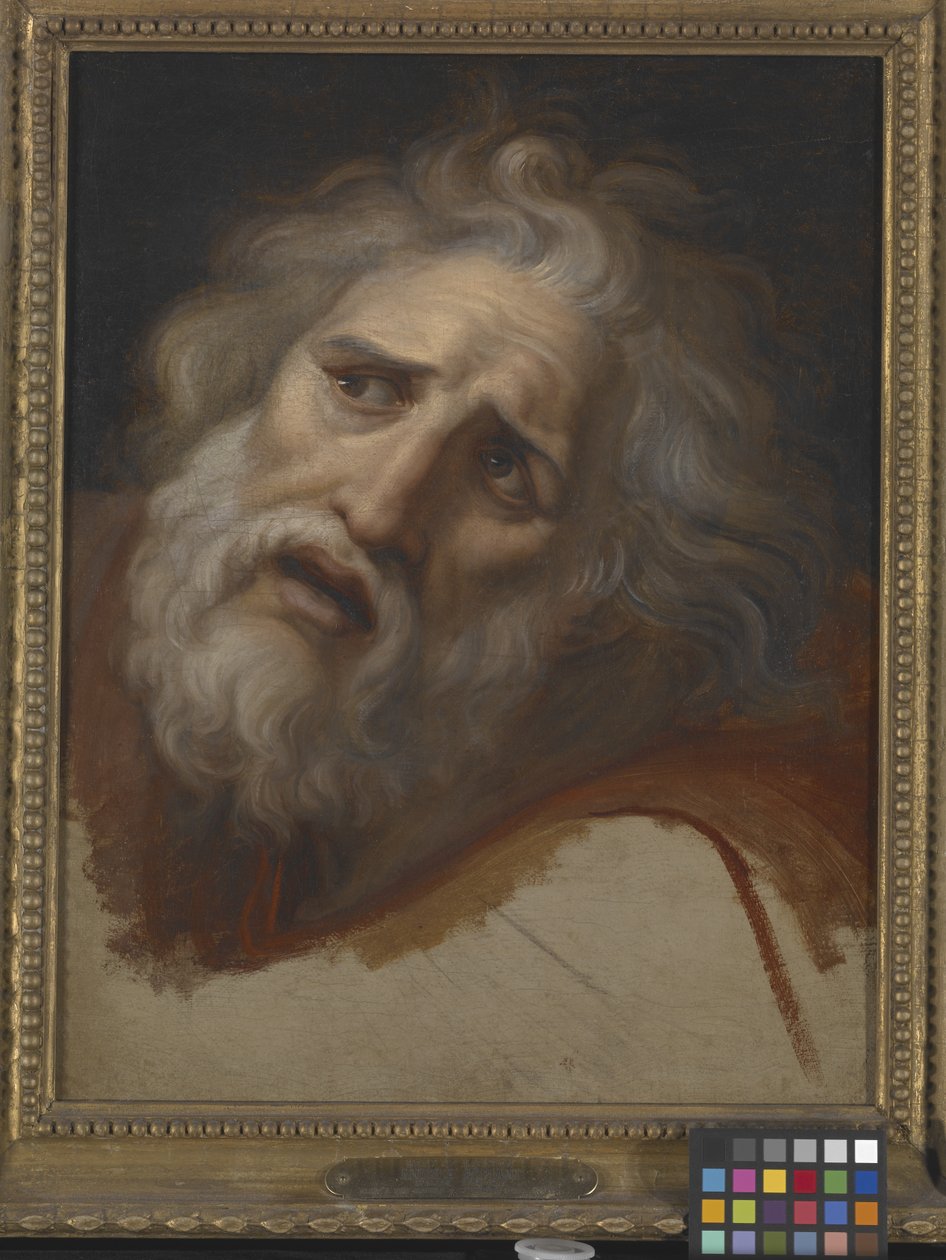 Head Of Laocoon by Italian School