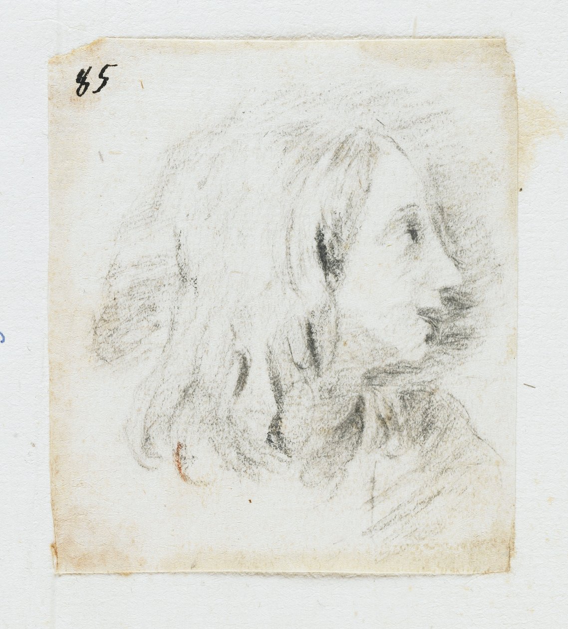 Head of a Boy in Profile by Italian School