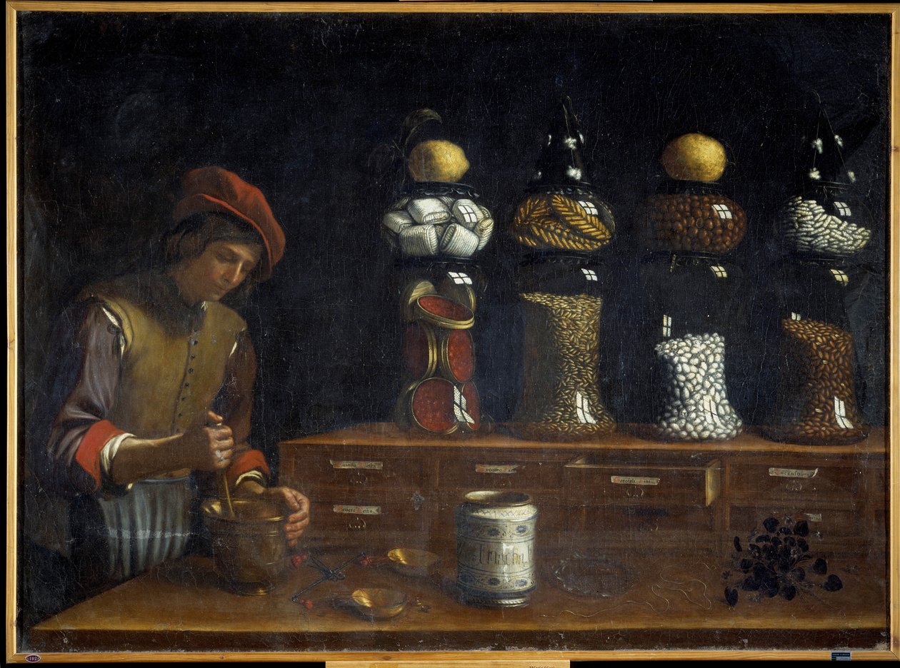 Herbalist in His Workshop in the 17th Century by Italian School