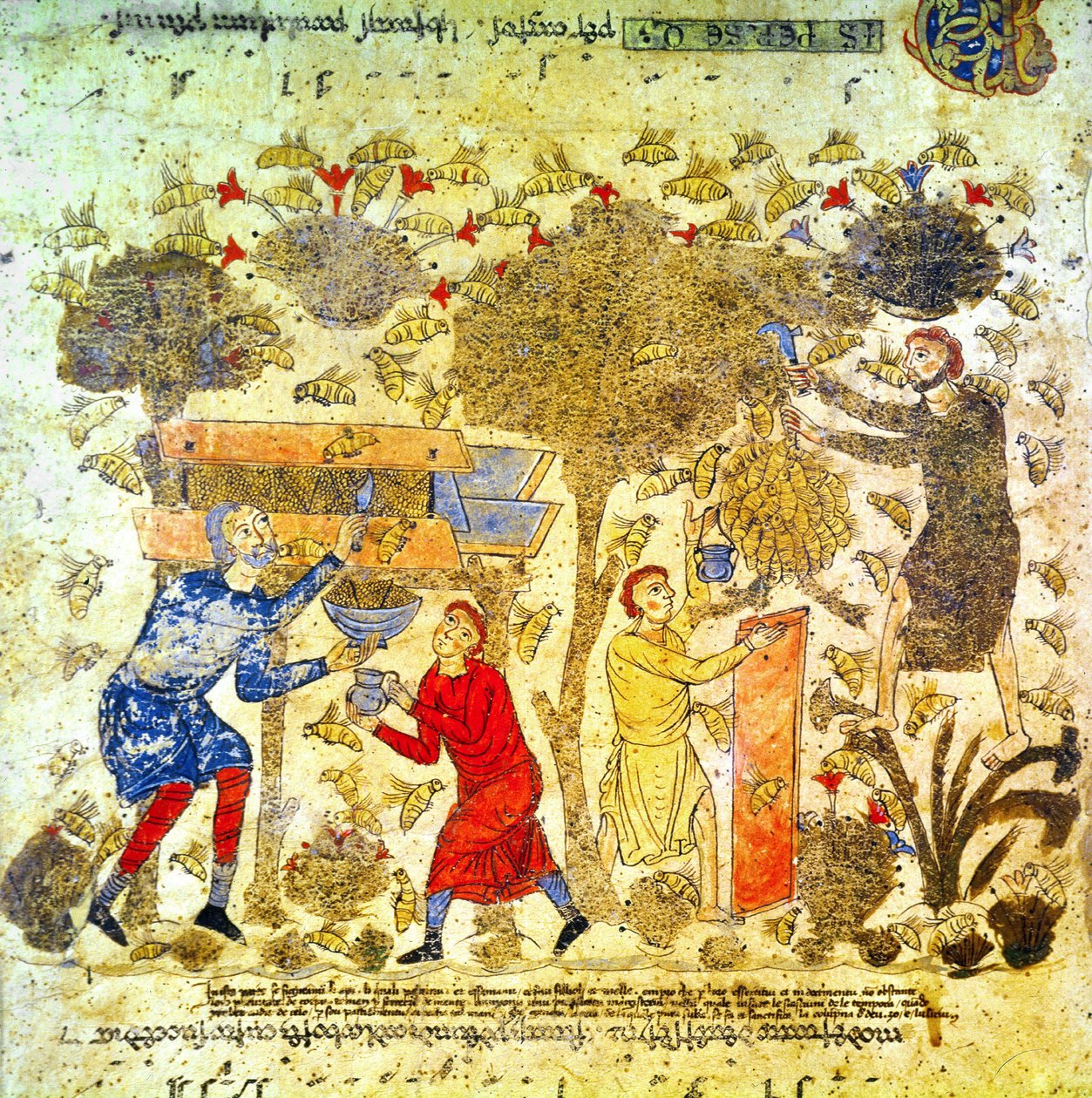 Honey Harvest in Italy in the 12th Century by Italian School