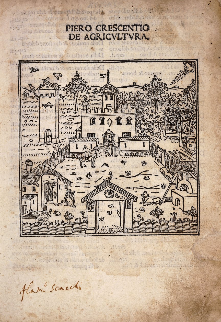 Illustrated titlepage from 