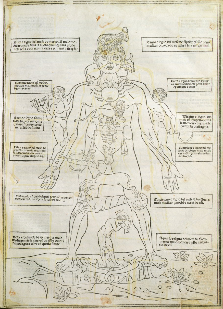 Illustration from 