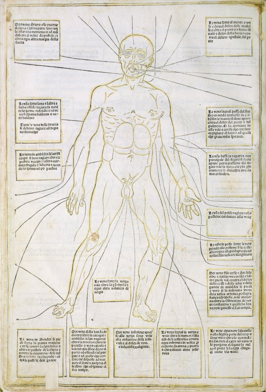 Illustration from 