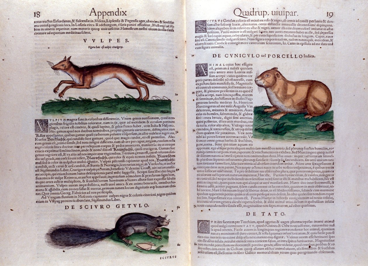 Illustrations from 