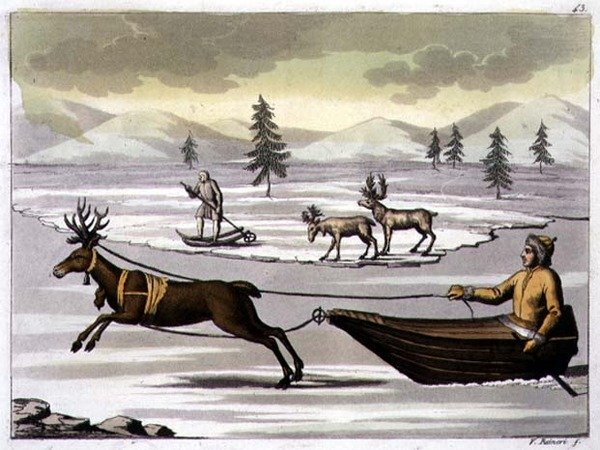 Male and Female Reindeer and a Laplander on his Sledge Pulled by a Reindeer, plate 43 from 