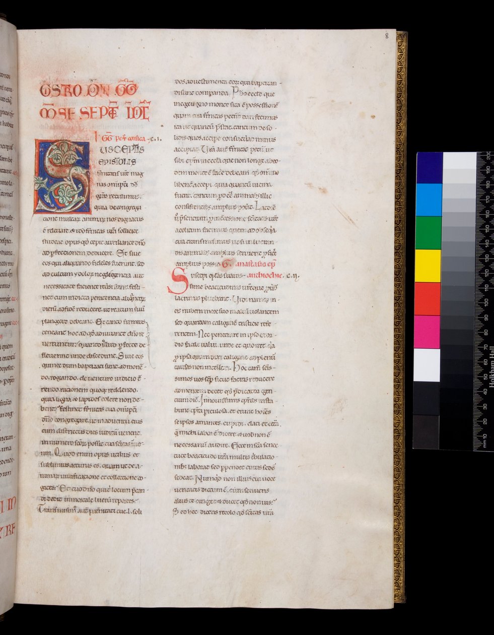 Ms 143. Gregory the Great, Registrum Epistolarum, f.8r. Decorated Initial [S] with White Vine-Leaf Infill and Finials by Italian School
