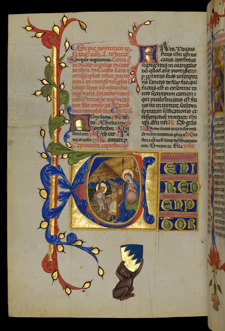 Nativity by Italian School