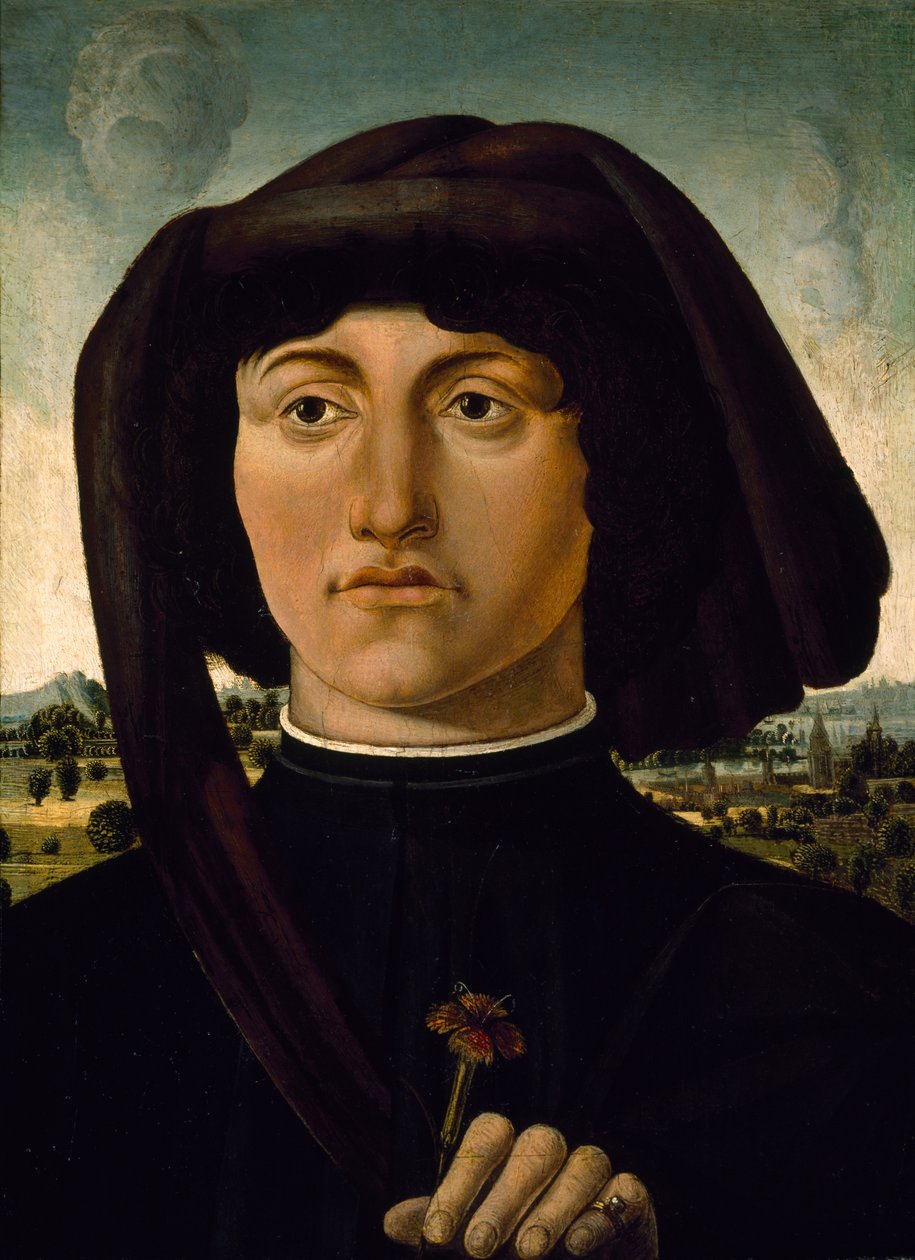 Portrait of a Young Man with a Pink Flower, c.1475-85 by Italian School