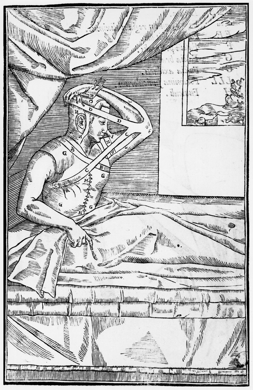 Reconstructive surgery on the nose, illustration from De curtorum chirurgia per insitionem by Gaspare Tagliacozzi, Venice, published 1597 by Italian School