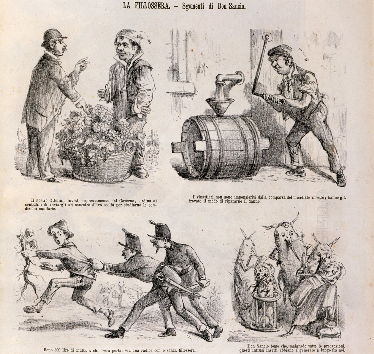 Satirical Cartoon Dedicated to Wine Growing Crisis Caused by Phylloxera, Illustration from Satirical Newspaper Spirito Folletto, September 18 by Italian School