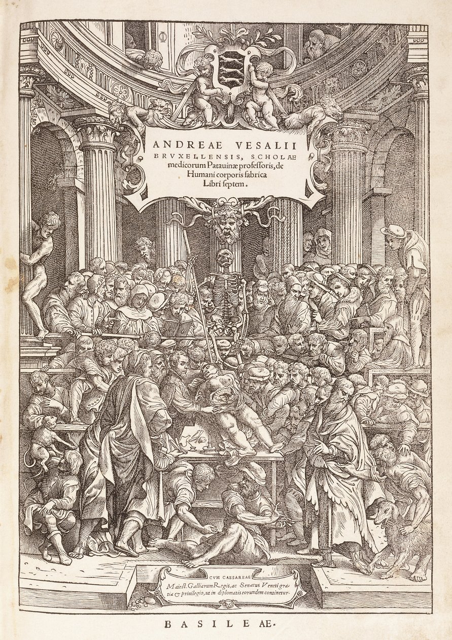 The Author Conducting an Anatomical Dissection in a Surgical Theatre, 1543 by Italian School
