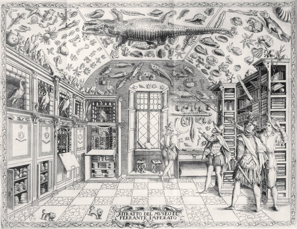 The Natural History Museum of Emperor Ferdinand III from Historia Naturale by Ferrante Imperato, published in 1672 by Italian School