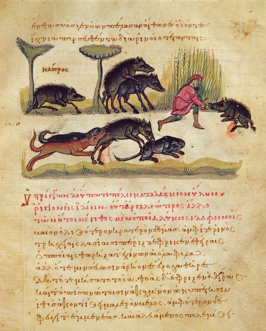 Treatise on the Boar: Life, Mating, Hunting, Illustration from the Cynegetica by Oppian by Italian School