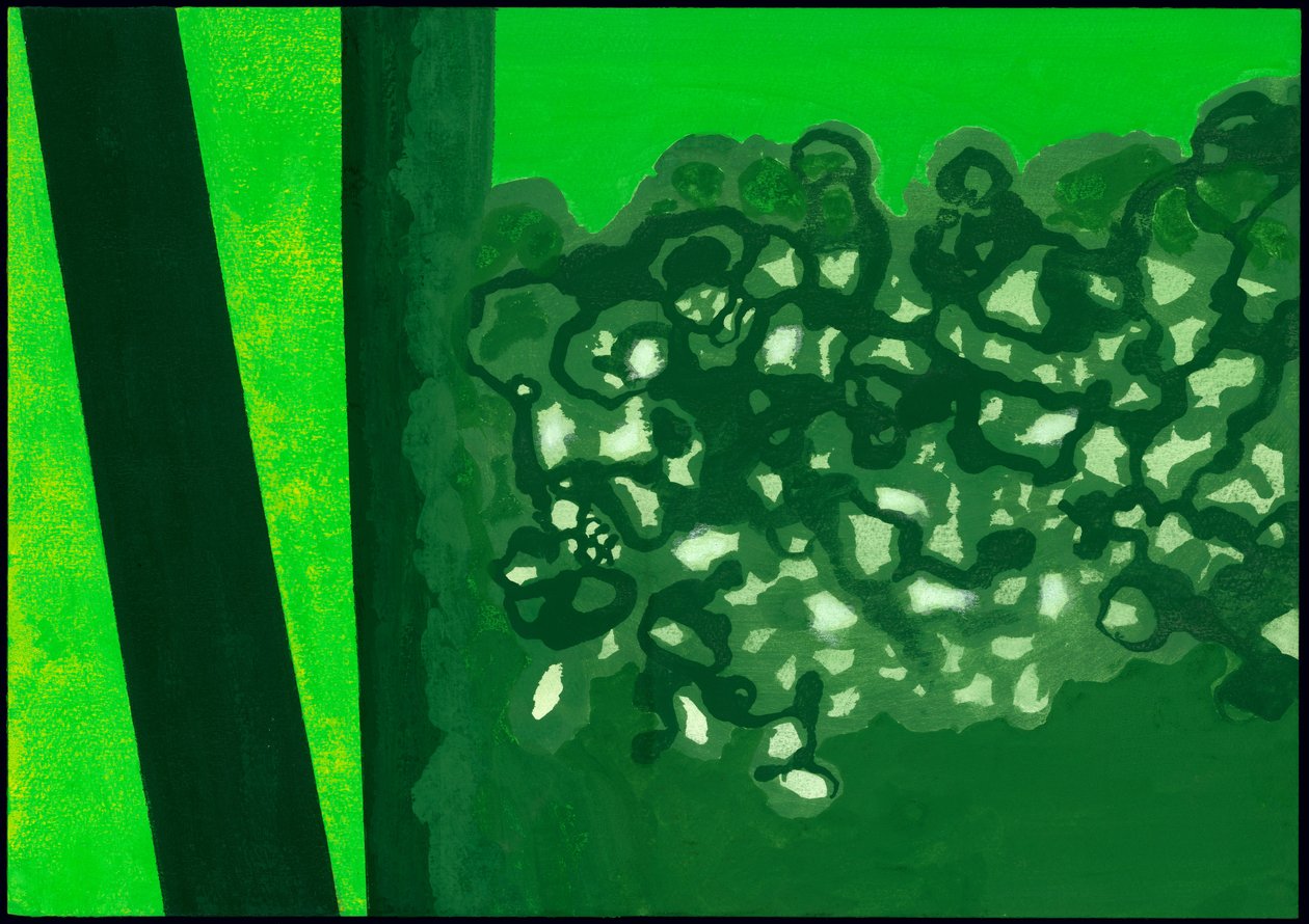 Kensington Gardens Series: Canopy Shadows by Izabella Godlewska de Aranda