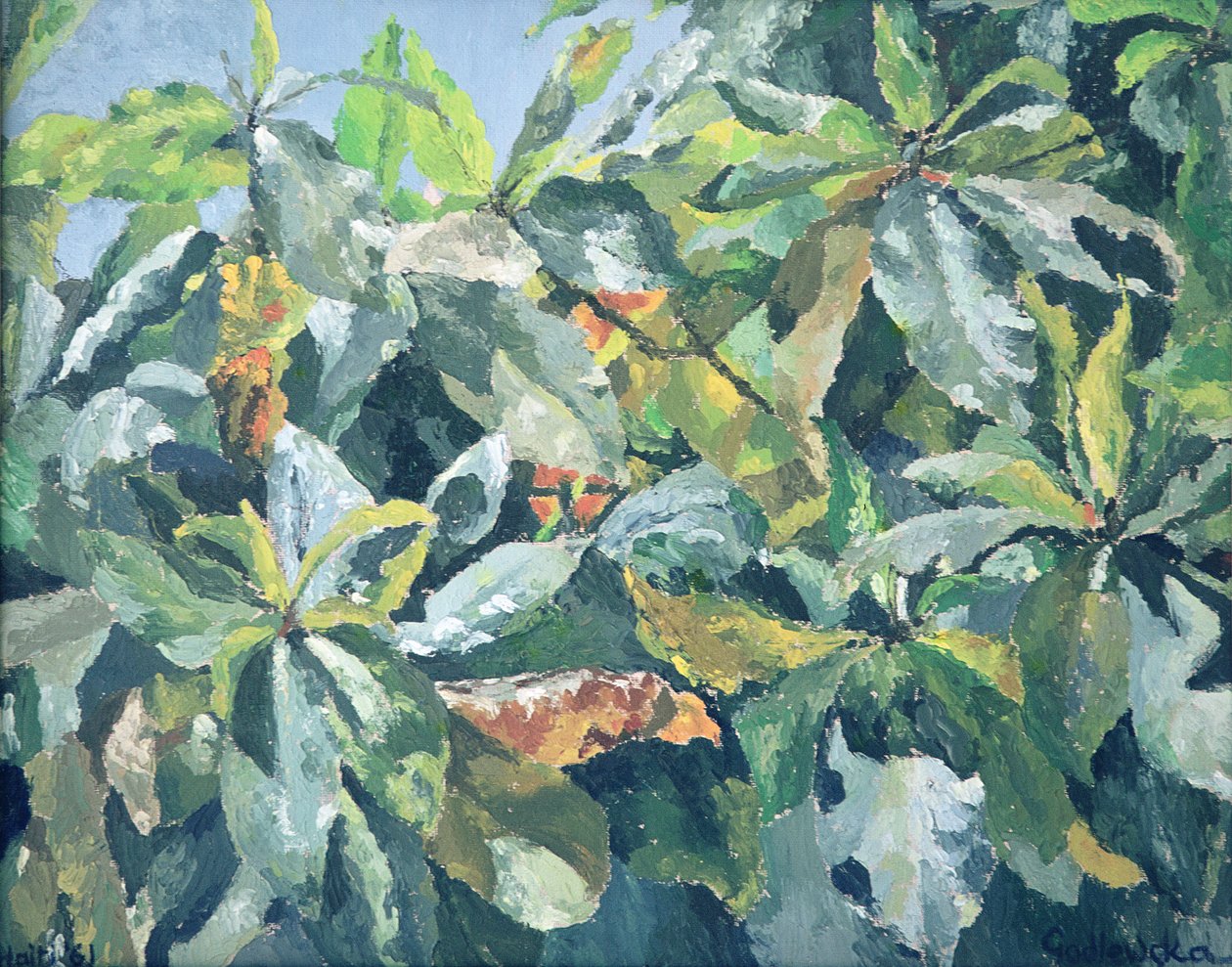 Plants by Izabella Godlewska de Aranda