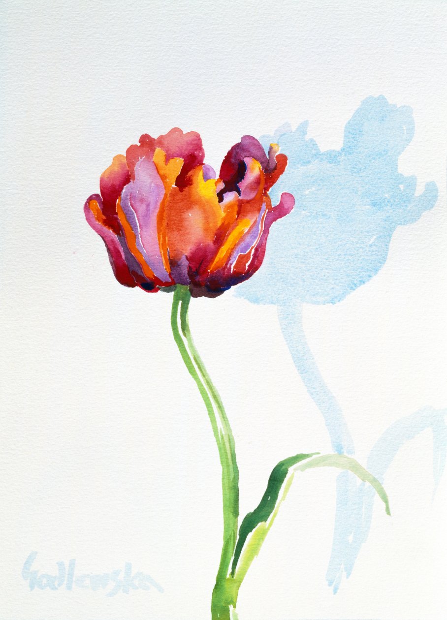 Tulip, 1998 by Izabella Godlewska de Aranda