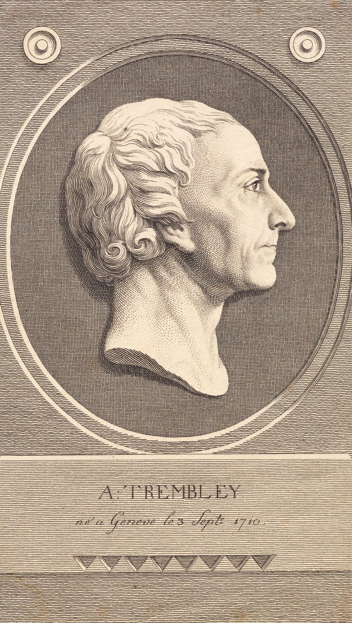 Relief Medallion with Portrait of Zoologist Abraham Trembley by J.F. Clemens