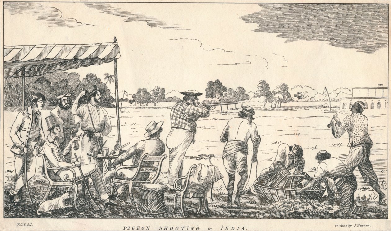 Pigeon Shooting in India, 19th century by J Bennett