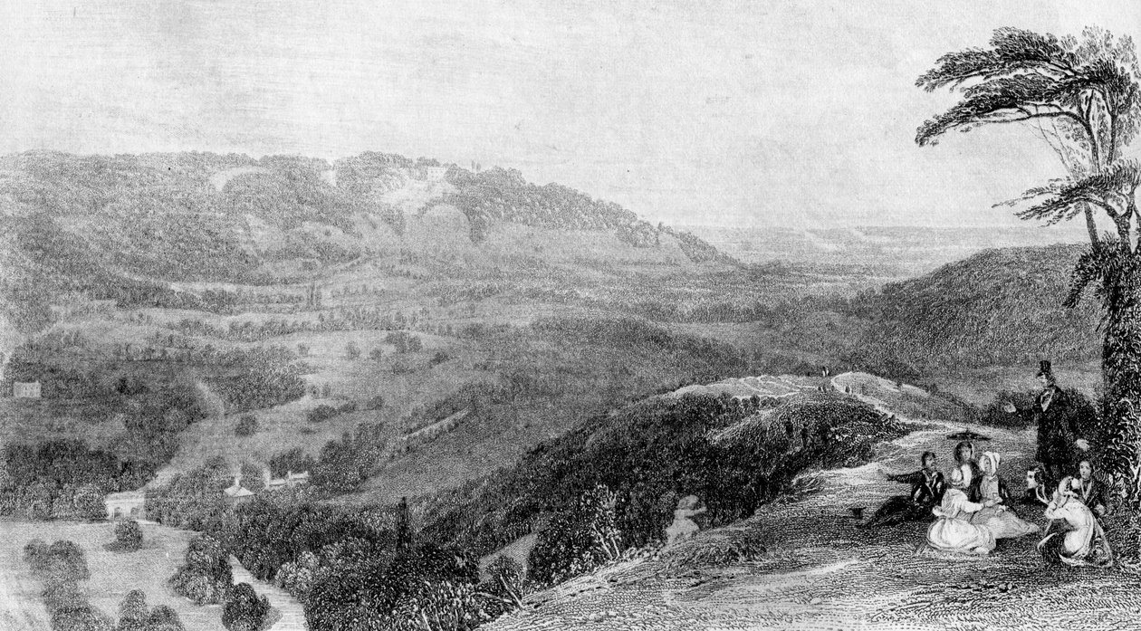 View from Box Hill, looking towards Norbury, Surrey by J. H. Kernot