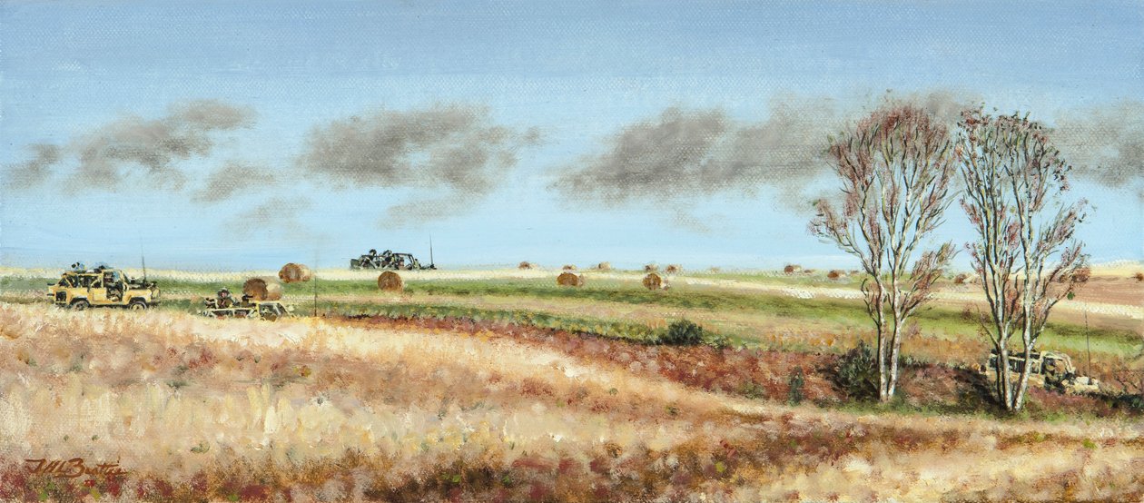 Scouting, 2018 by J Hugh L Beattie