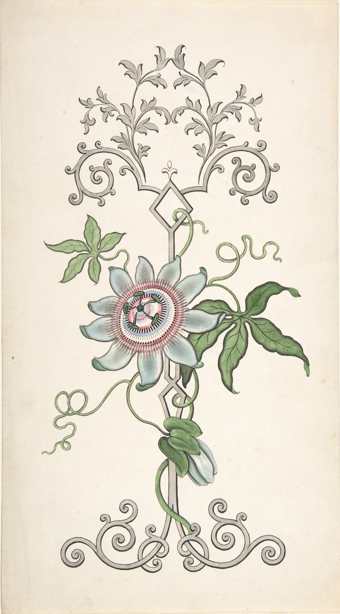 Design for Panel Decoration Centered on a Passion Flower by J Hulme