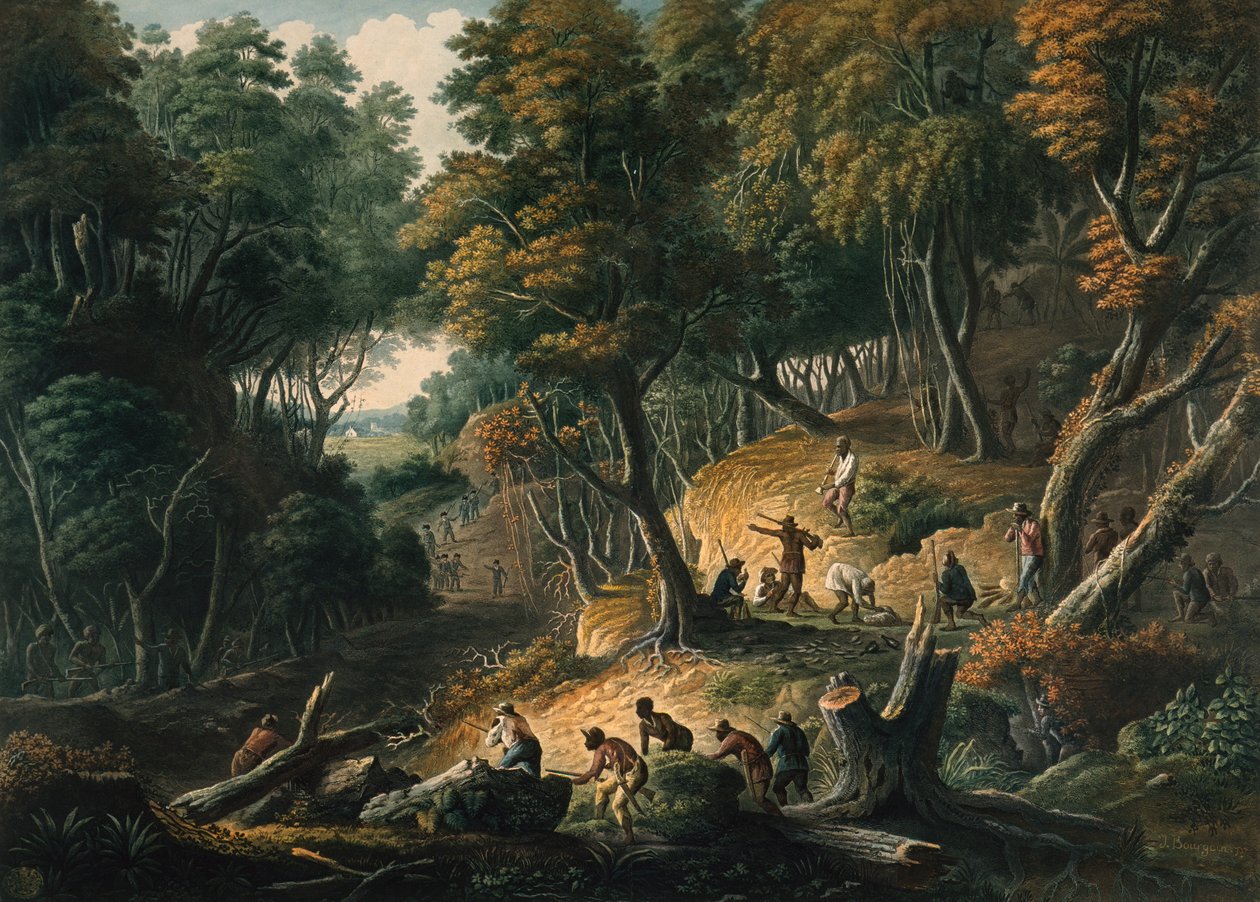 The Maroons in Ambush on the Dromilly Estate in the Parish of Trelawney by J. Merigot