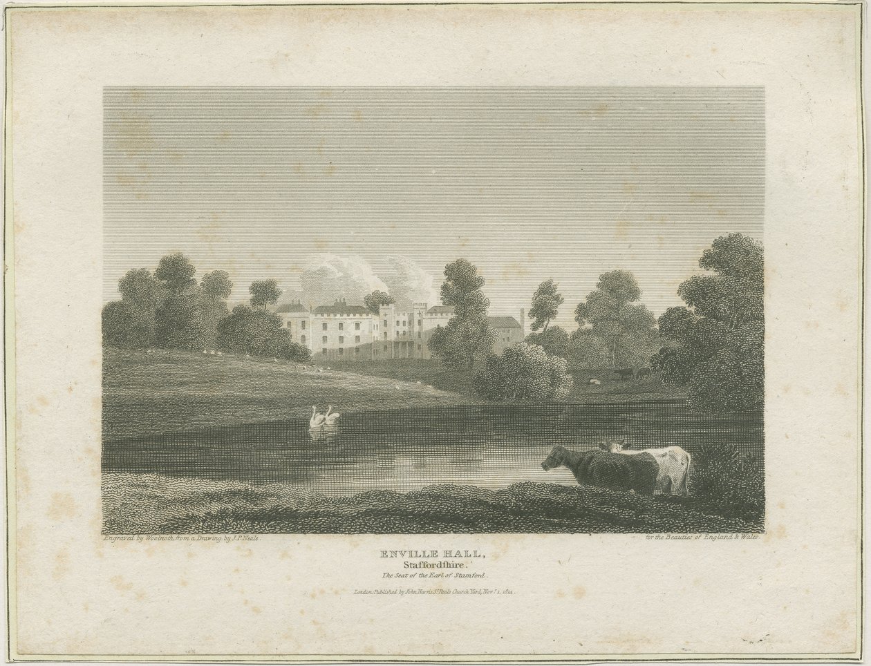 Enville Hall by John Preston Neale