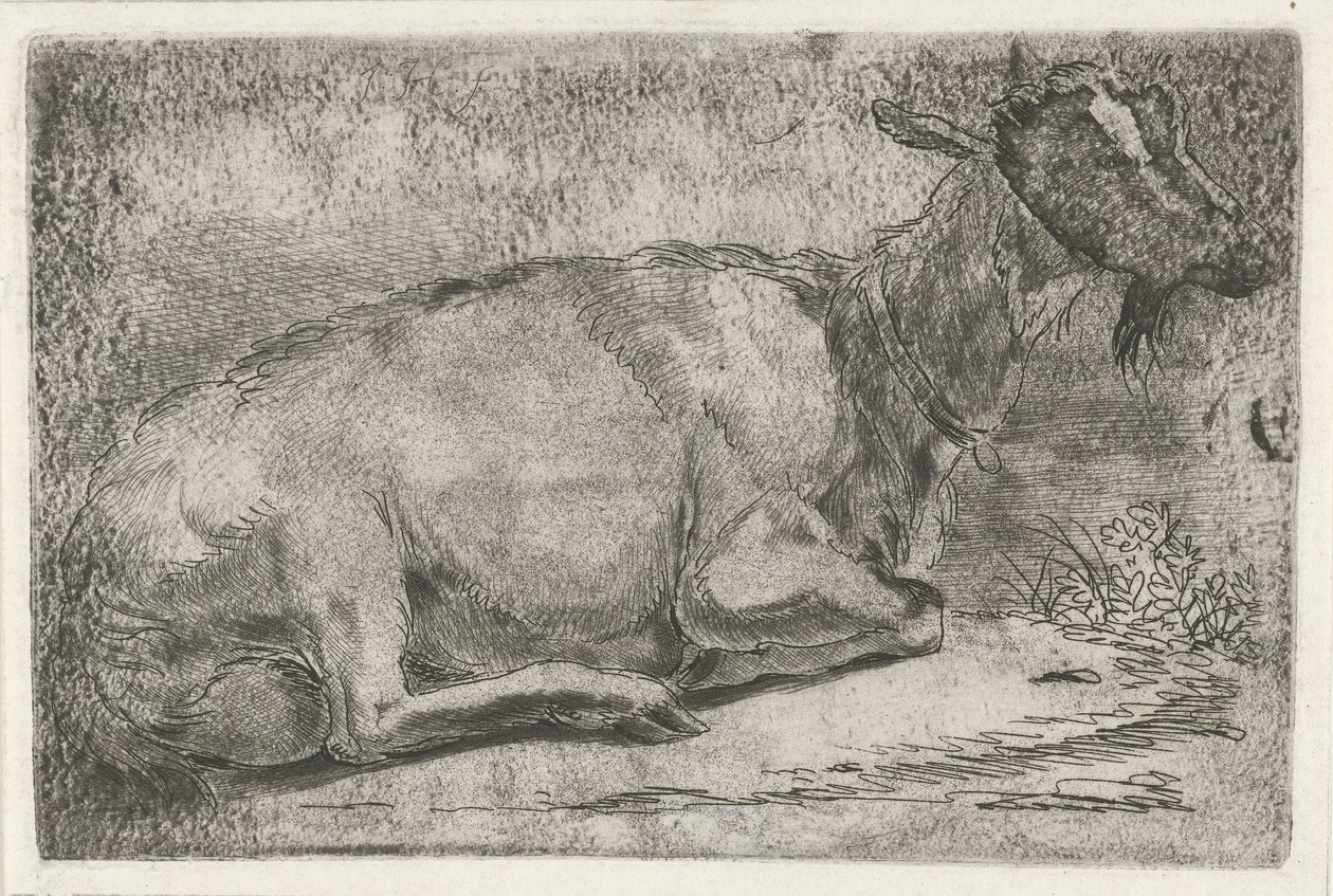 Lying Goat by Jabes Heenck