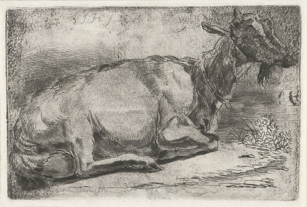 Lying Goat by Jabes Heenck