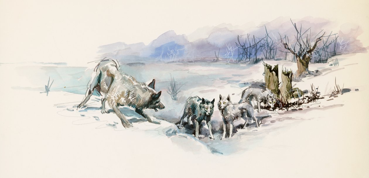 Pack of Wolves, from Call of the Wild, Adventure Novel by Jack London by Jack London