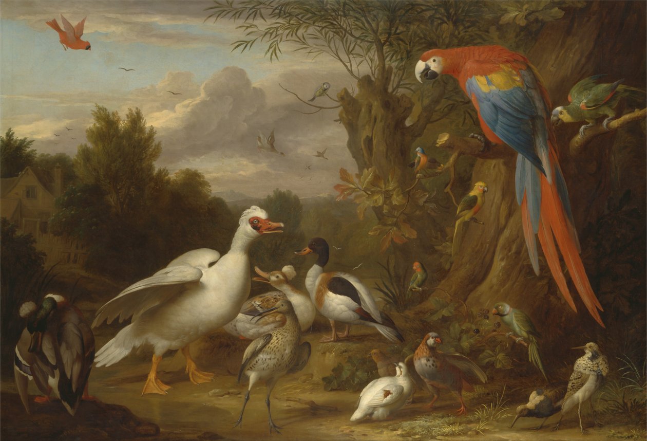 A Macaw, Ducks, Parrots and Other Birds in a Landscape by Jacob Bogdani