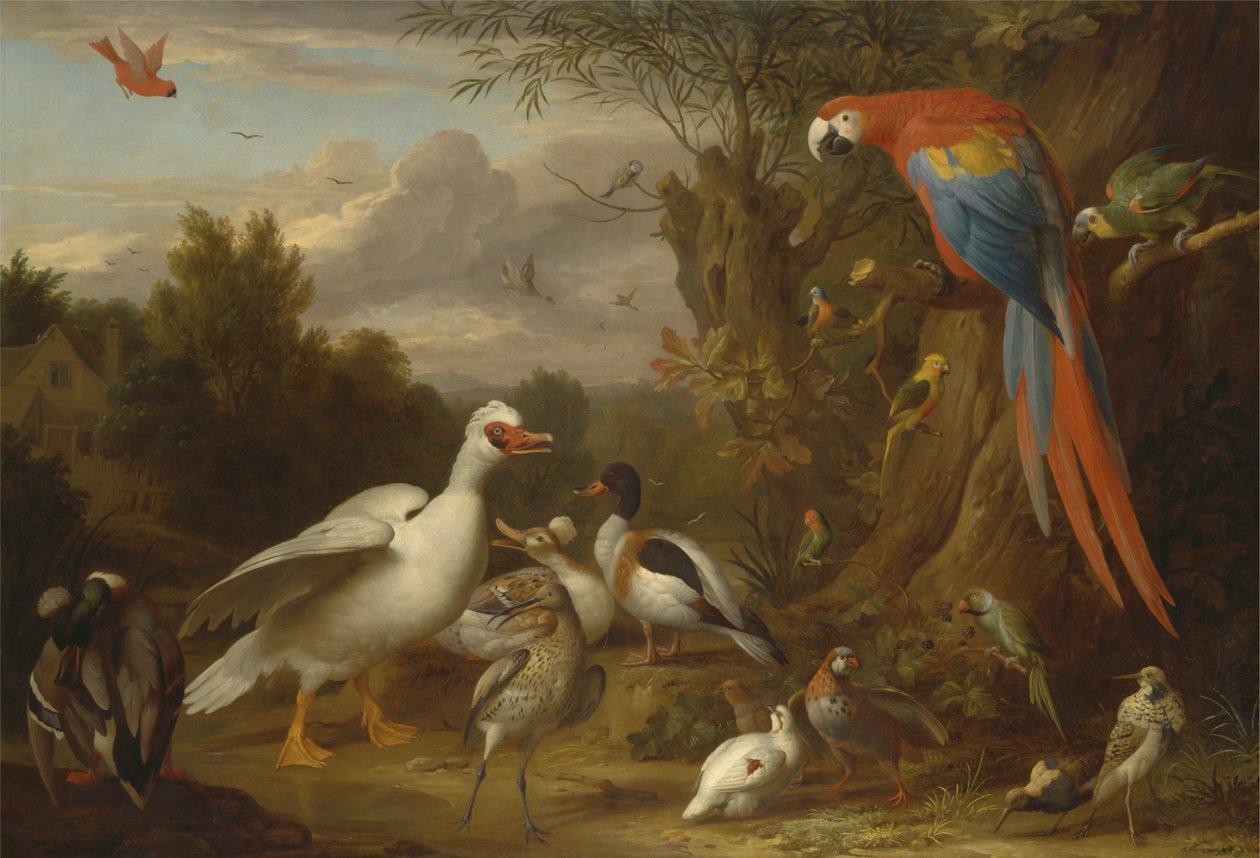 A Macaw, Ducks, Parrots and Other Birds in a Landscape by Jacob Bogdani