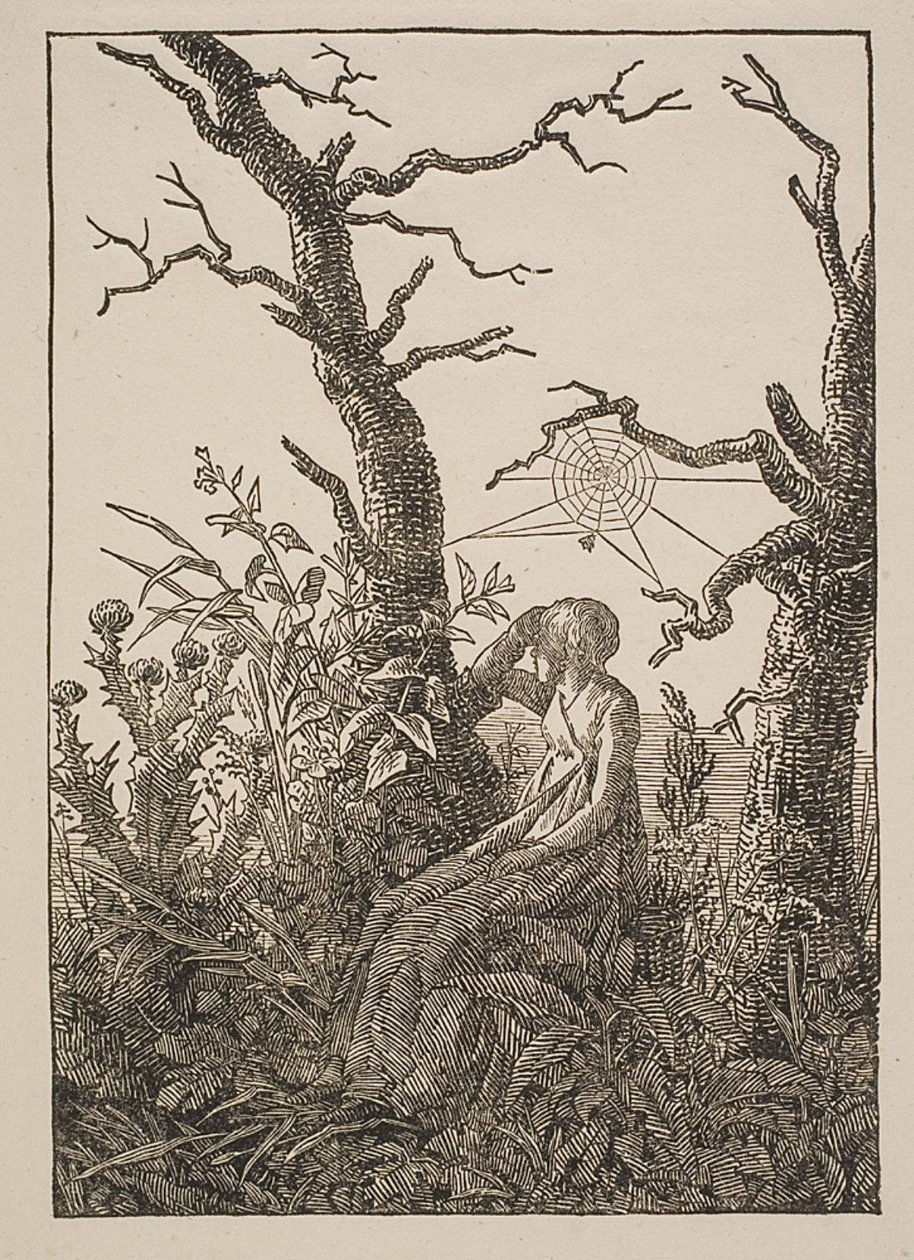 Melancholy. The Woman with the Spider