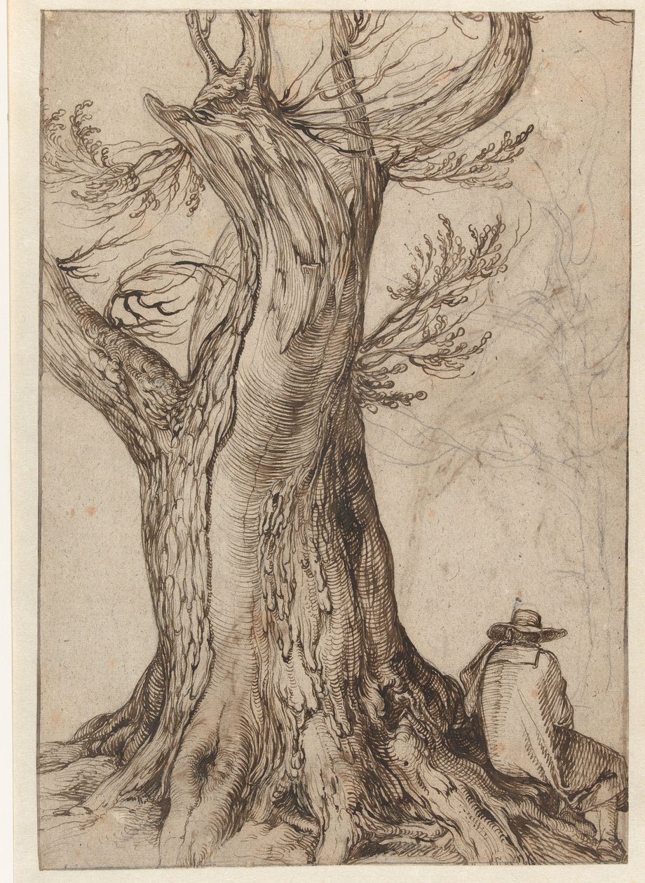 Study of a Tree Trunk by Jacob II de Gheyn