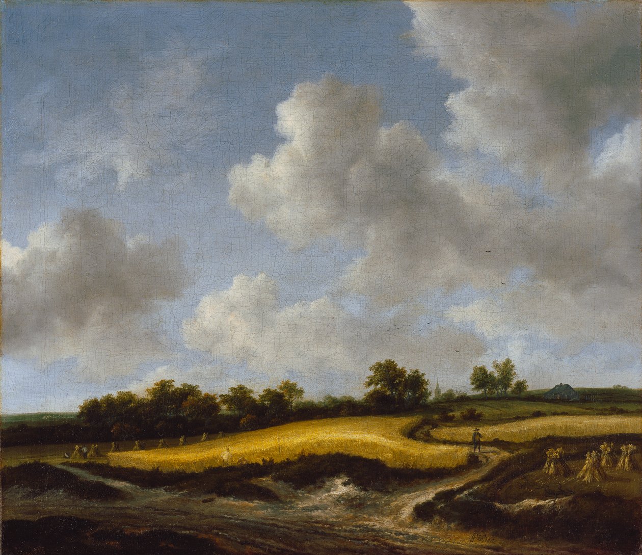 Landscape with a Wheatfield by Jacob van Ruisdael