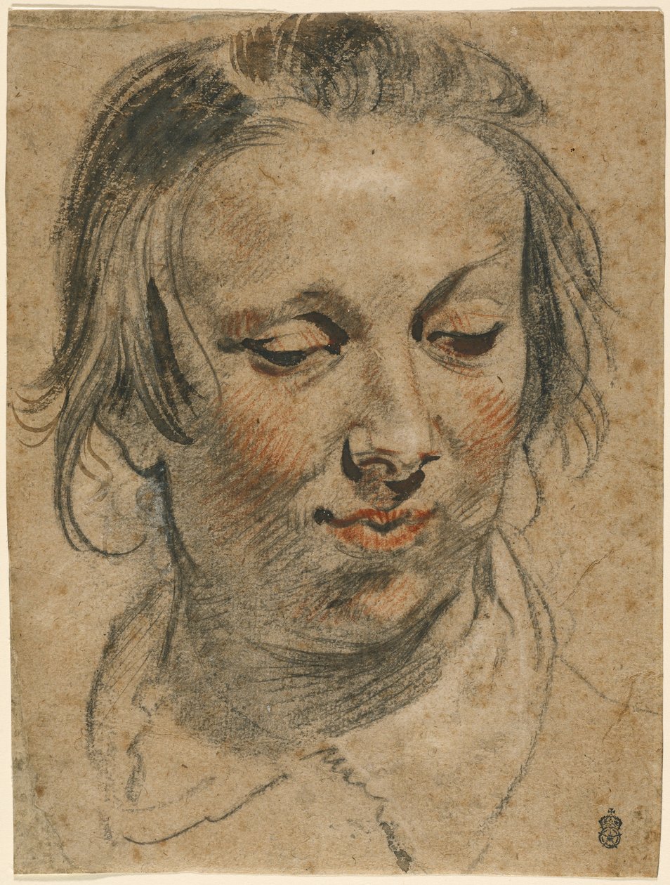 Head of a Woman by Jacob Jordaens