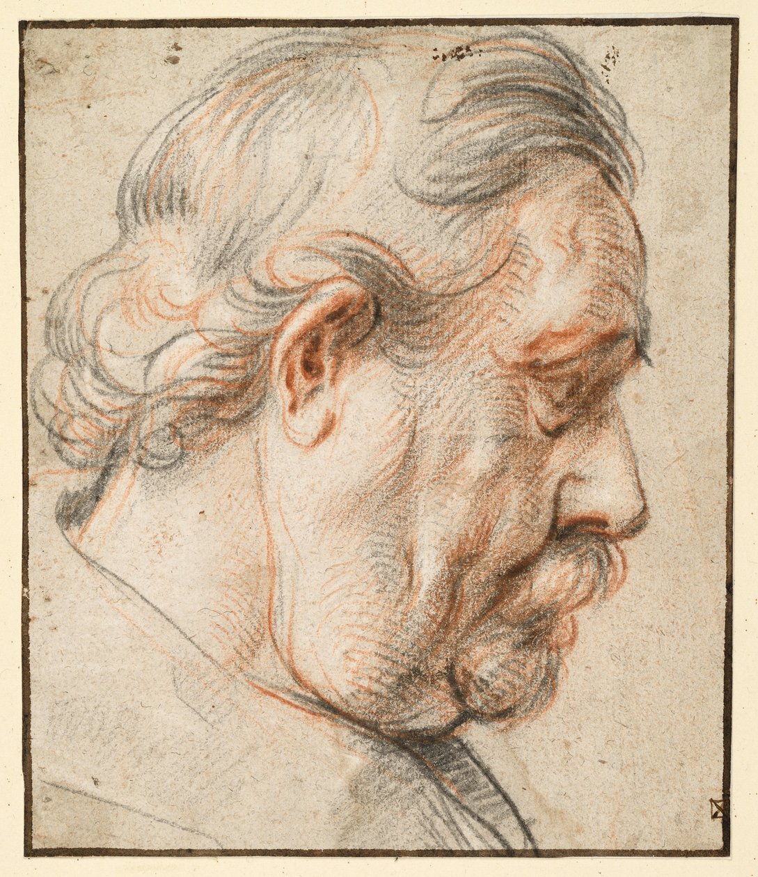 Head of a Man in Profile to the Right by Jacob Jordaens