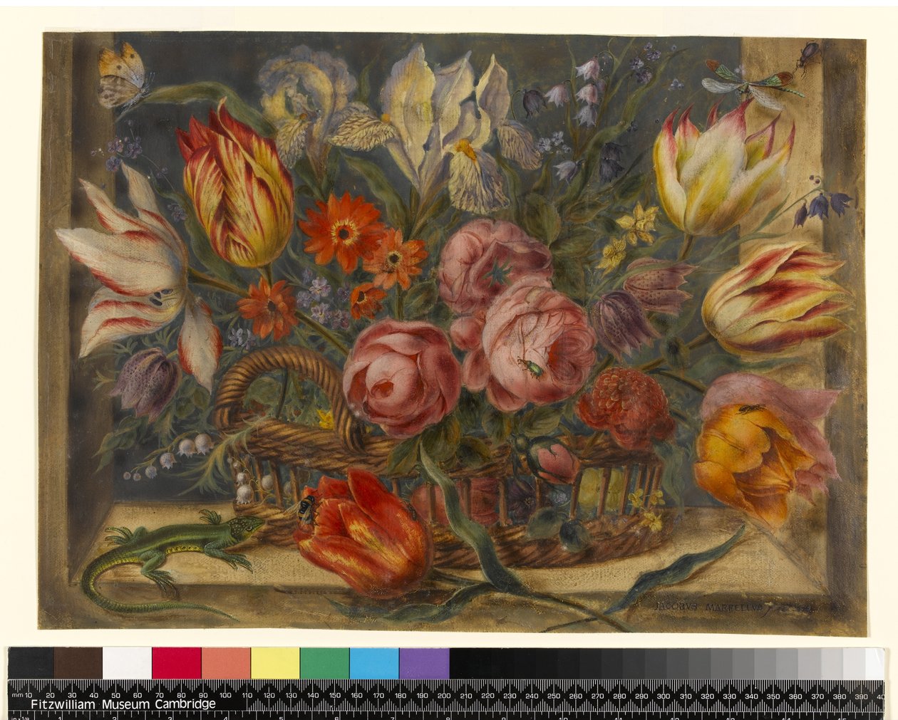 Flower study: assorted flowers in a basket, with insects and a lizard in a window setting, 1634 by Jacob Marrel