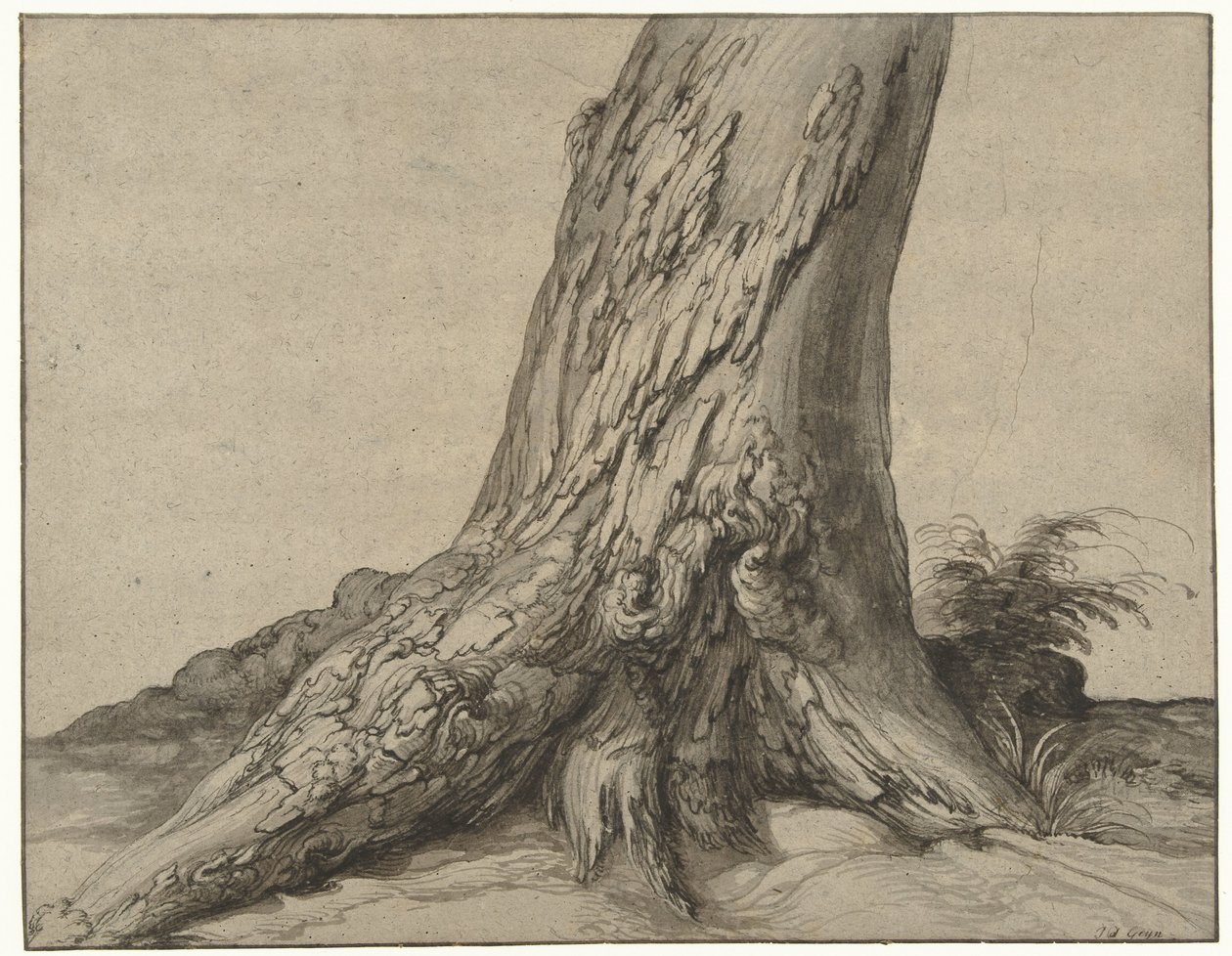 Study of a tree trunk with roots by Jacob de Gheyn (II)