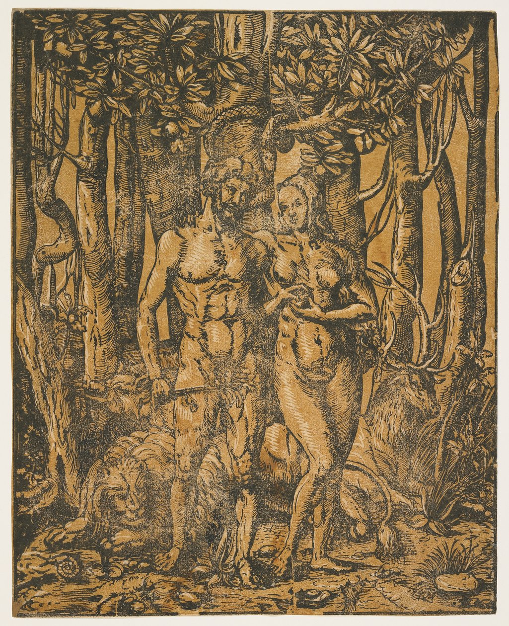 Adam and Eve by Jacob the Elder attr. to Lucius