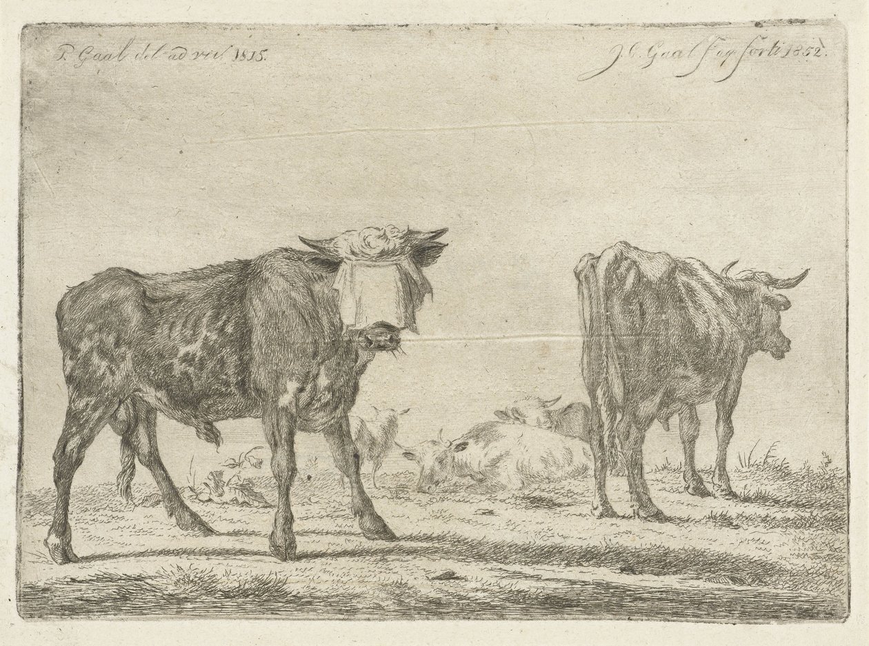 Blindfolded Bull with Herd of Cattle by Jacobus Cornelis Gaal