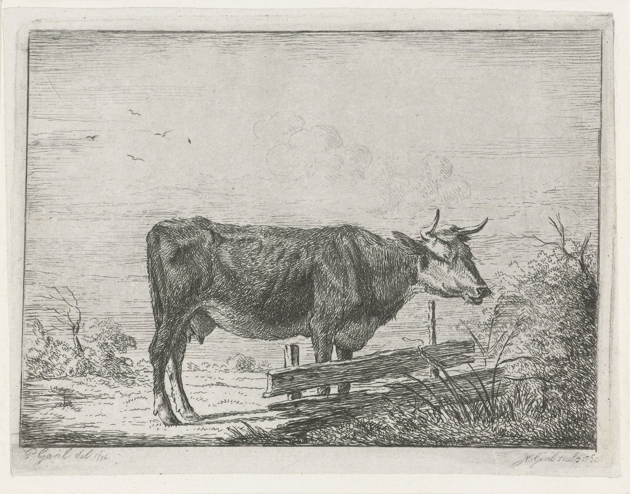Cow Standing by a Fence by Jacobus Cornelis Gaal