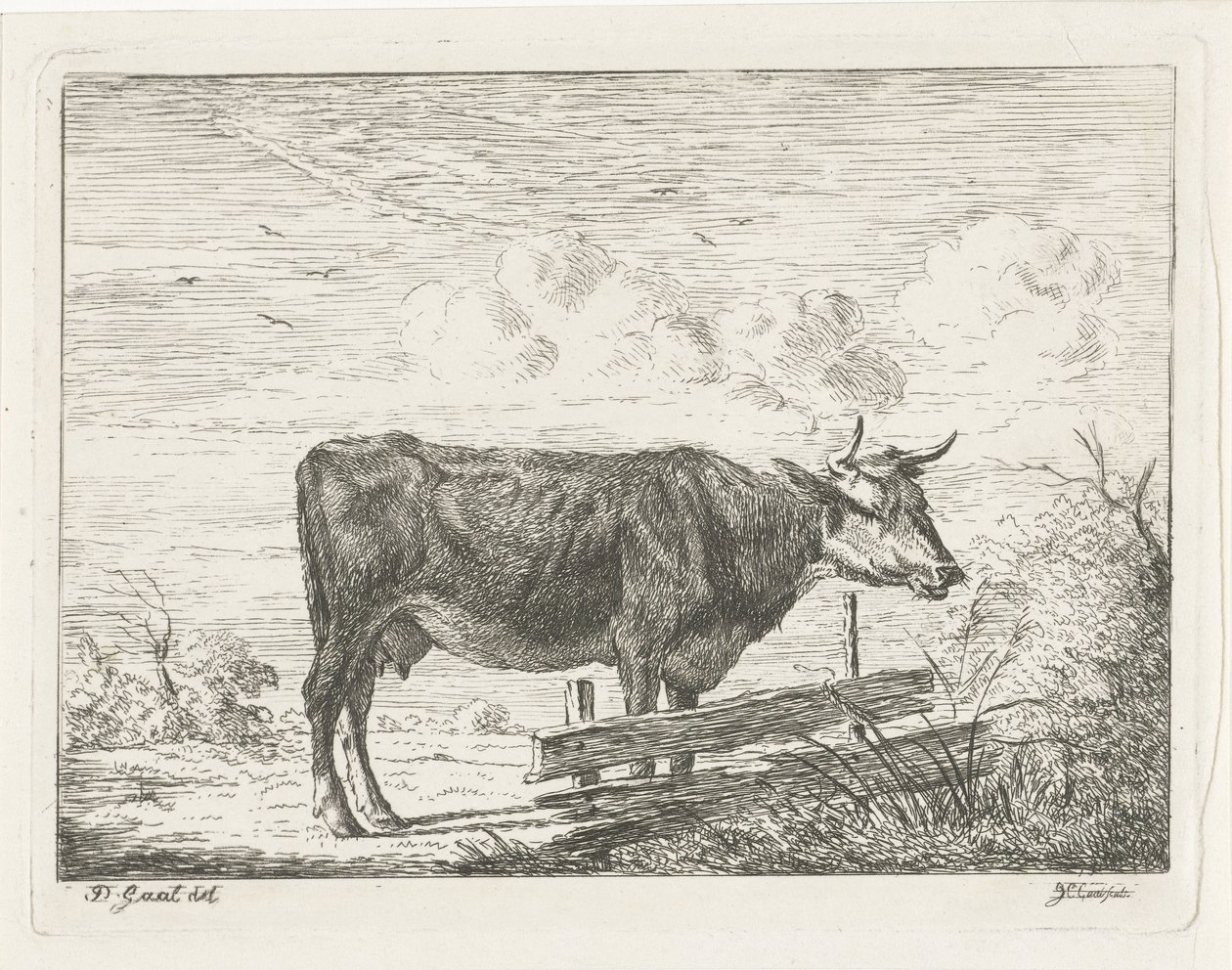 Cow Standing by a Fence by Jacobus Cornelis Gaal