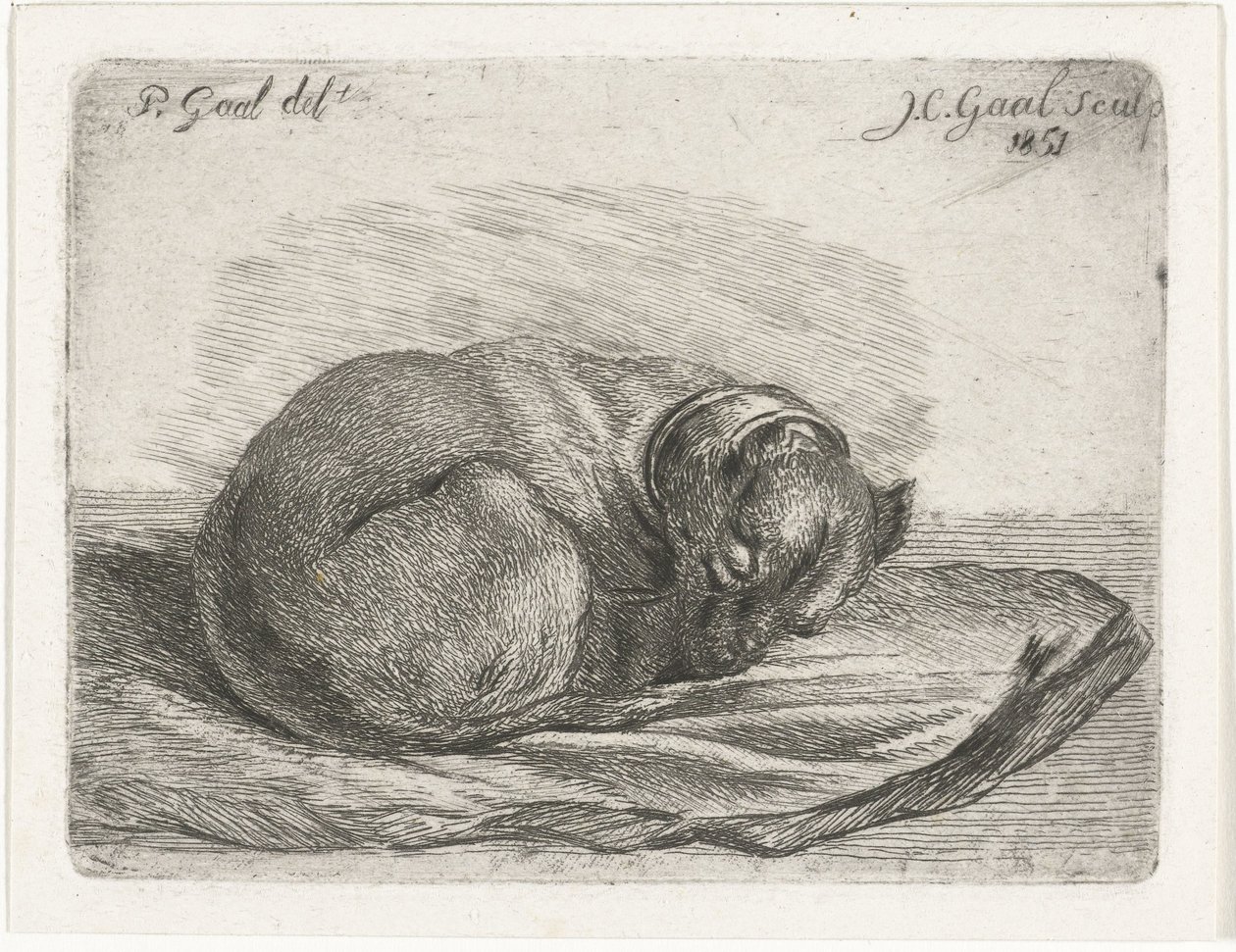 Sleeping Dog Lying on a Blanket by Jacobus Cornelis Gaal
